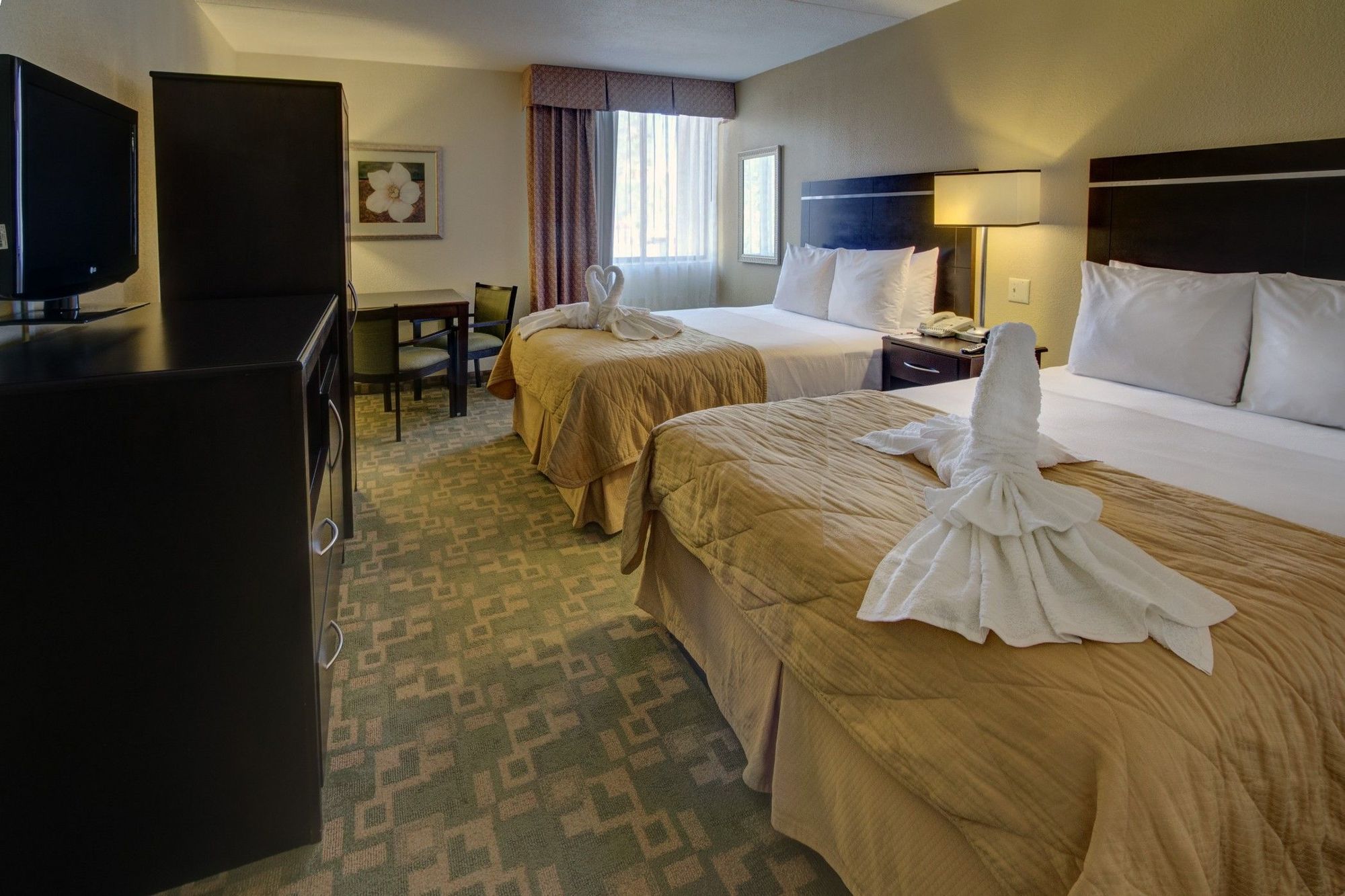 Clarion Inn & Suites At International Drive Williamsburg Camera foto